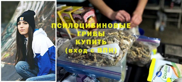 бошки Алексеевка