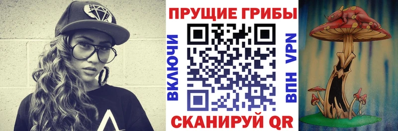 KRAKEN ССЫЛКА  Долинск  Галлюциногенные грибы GOLDEN TEACHER 